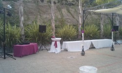 Fiesta de Boda