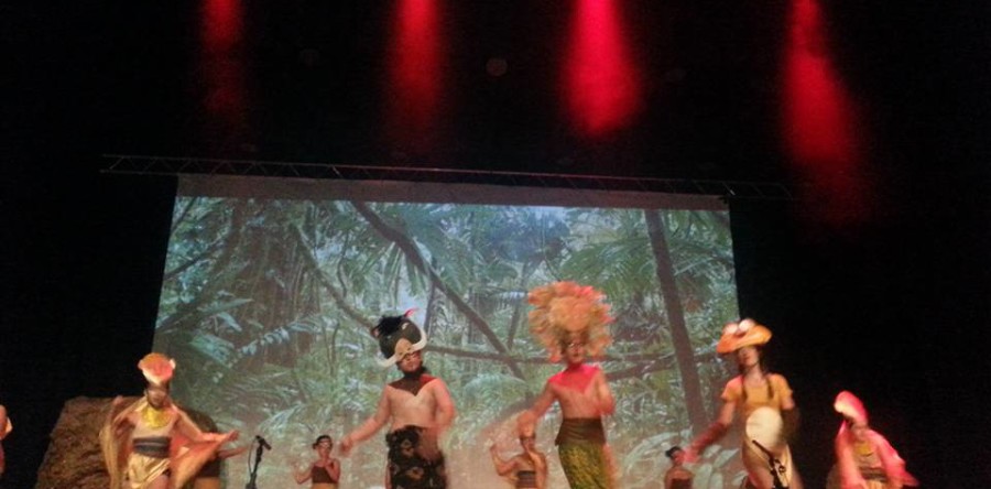 Obra de Teatro Rey León